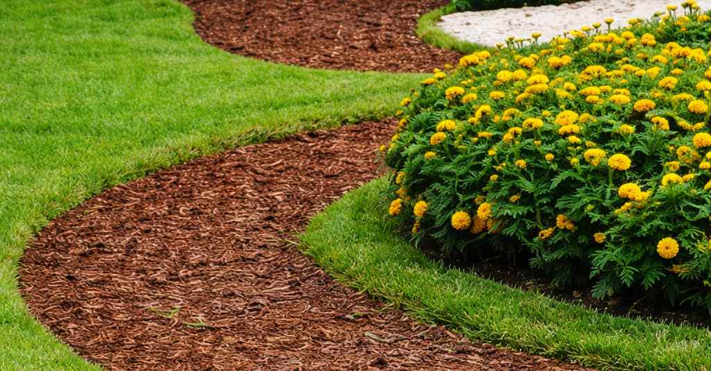 Curved garden bed with marigolds (1) Curved garden bed with marigolds image