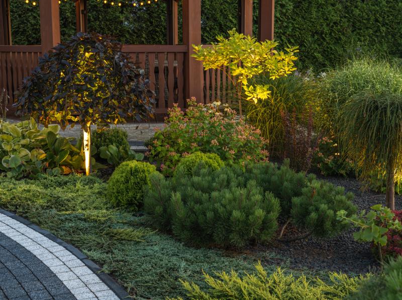 Why Professional Tree & Shrub Care Matters-image Why Professional Tree & Shrub Care Matters image