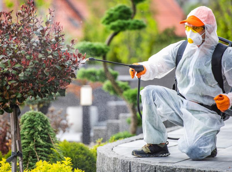 ecialized Treatments for Healthier Plants image ecialized Treatments for Healthier Plants image