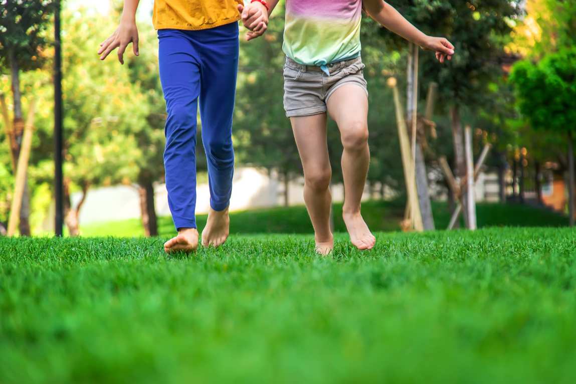 green-carpet-lawn-care-hero-1 green carpet lawn hero -1 image