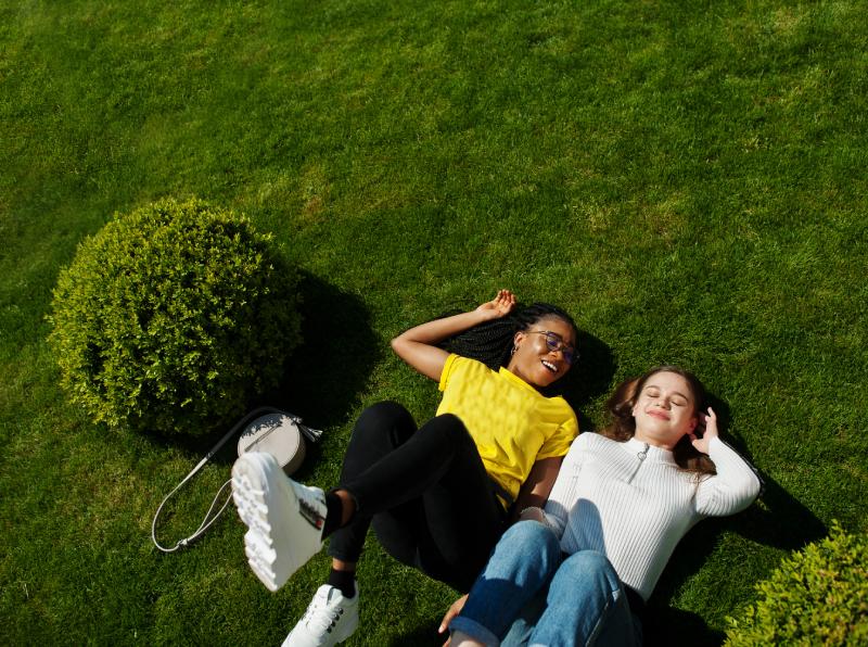 lawn care services listed image lawn care services image